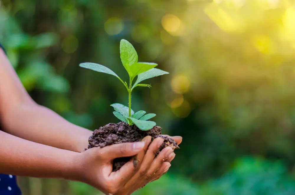 Memastikan Keberlanjutan Jangka Panjang