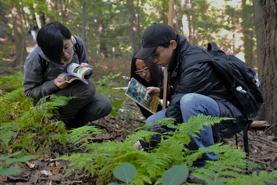 Strategi Berbasis Penelitian